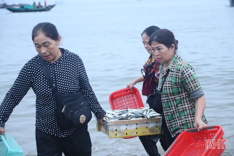 Ánh đèn pin lập lòe ở một chợ làng biển Hà Tĩnh, tới nơi thấy mua bán tấp nập cá ngon, mực to bự- Ảnh 10.