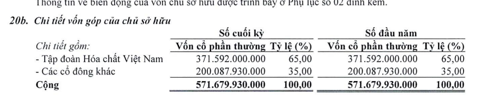 Tập đoàn Hóa chất Việt Nam sắp nhận được hơn 74 tỷ đồng cổ tức từ Phân bón Bình Điền (BFC)- Ảnh 1.