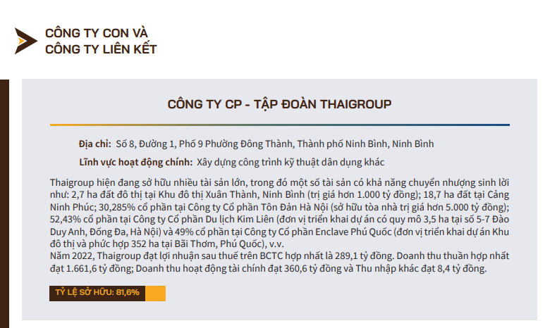 Thaiholdings sắp thoái 33,6% vốn tại Thaigroup- Ảnh 2.
