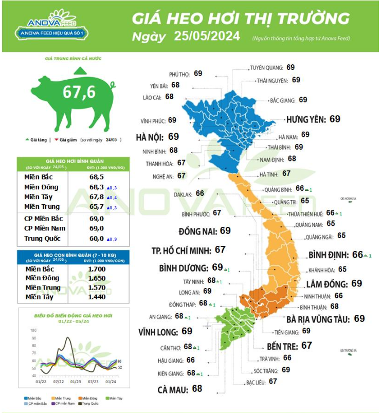 Giá lợn hơi sắp cán mốc 70.000 đồng/kg, người dân giữ lợn chờ tăng giá tiếp- Ảnh 1.