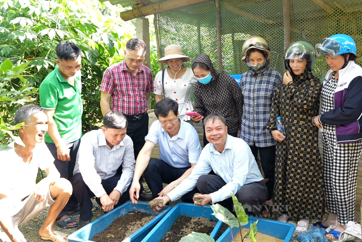 Hội Nông dân tỉnh Lào Cai tọa đàm về các kỹ thuật nuôi sâu canxi, trùn quế tại huyện Bảo Thắng- Ảnh 2.