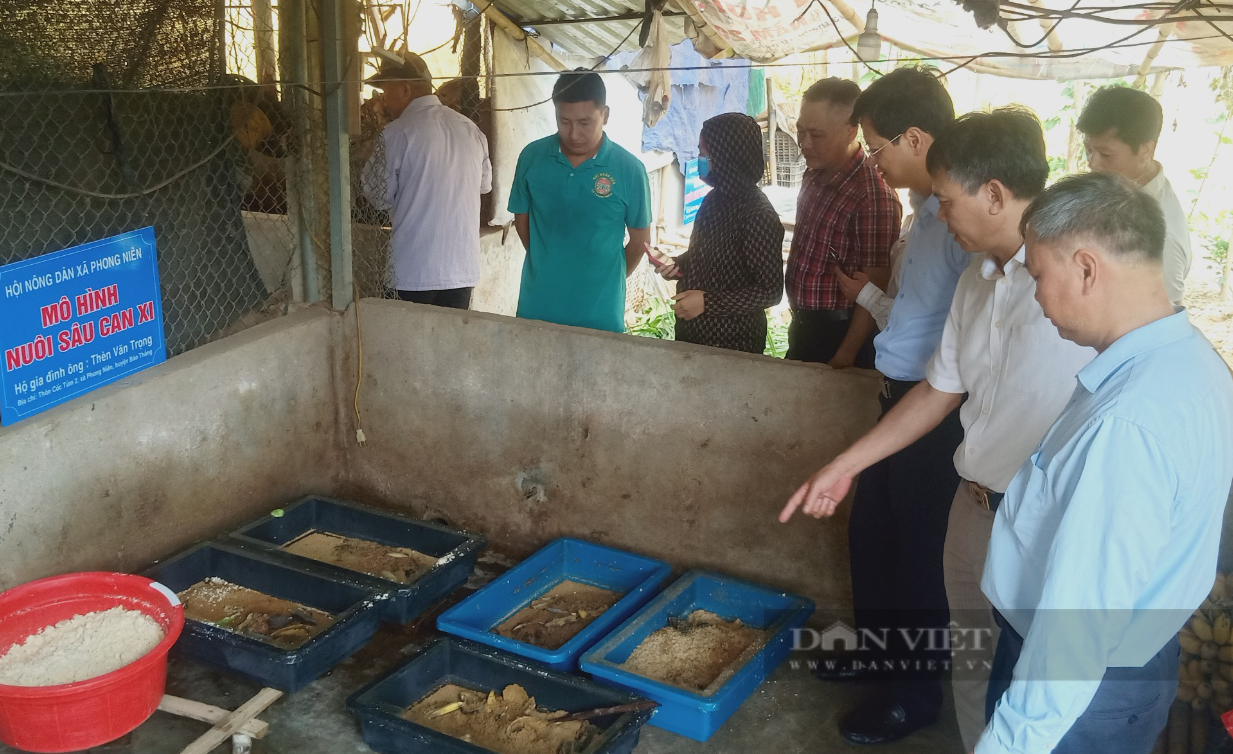 Hội Nông dân tỉnh Lào Cai tọa đàm về các kỹ thuật nuôi sâu canxi, trùn quế tại huyện Bảo Thắng- Ảnh 4.