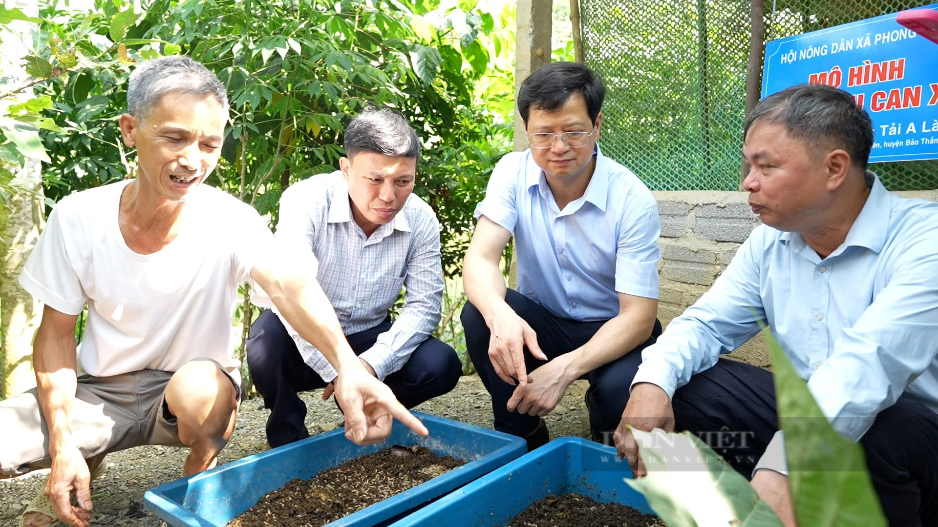 Hội Nông dân tỉnh Lào Cai tọa đàm về các kỹ thuật nuôi sâu canxi, trùn quế tại huyện Bảo Thắng- Ảnh 5.