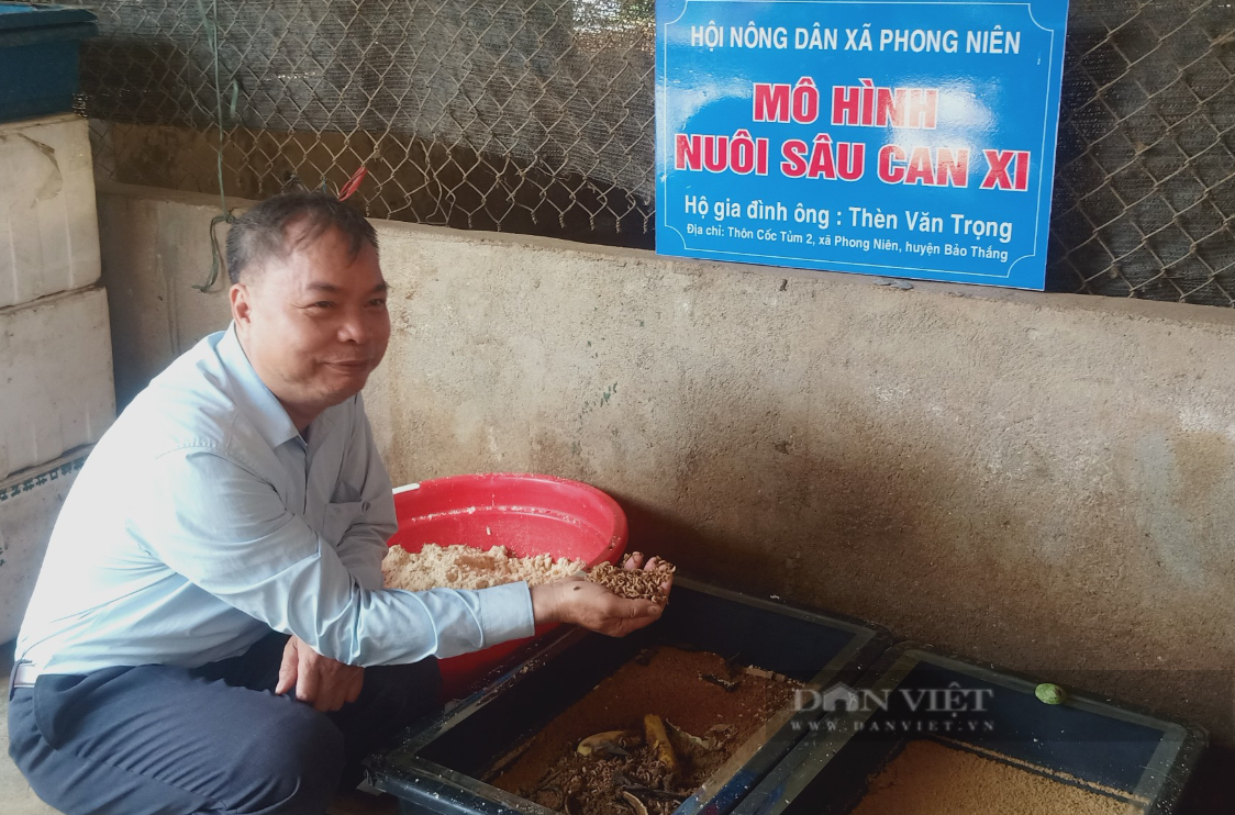 Hội Nông dân tỉnh Lào Cai tọa đàm về các kỹ thuật nuôi sâu canxi, trùn quế tại huyện Bảo Thắng- Ảnh 6.