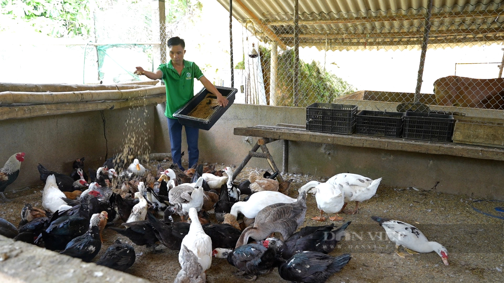 Hội Nông dân tỉnh Lào Cai tọa đàm về các kỹ thuật nuôi sâu canxi, trùn quế tại huyện Bảo Thắng- Ảnh 8.