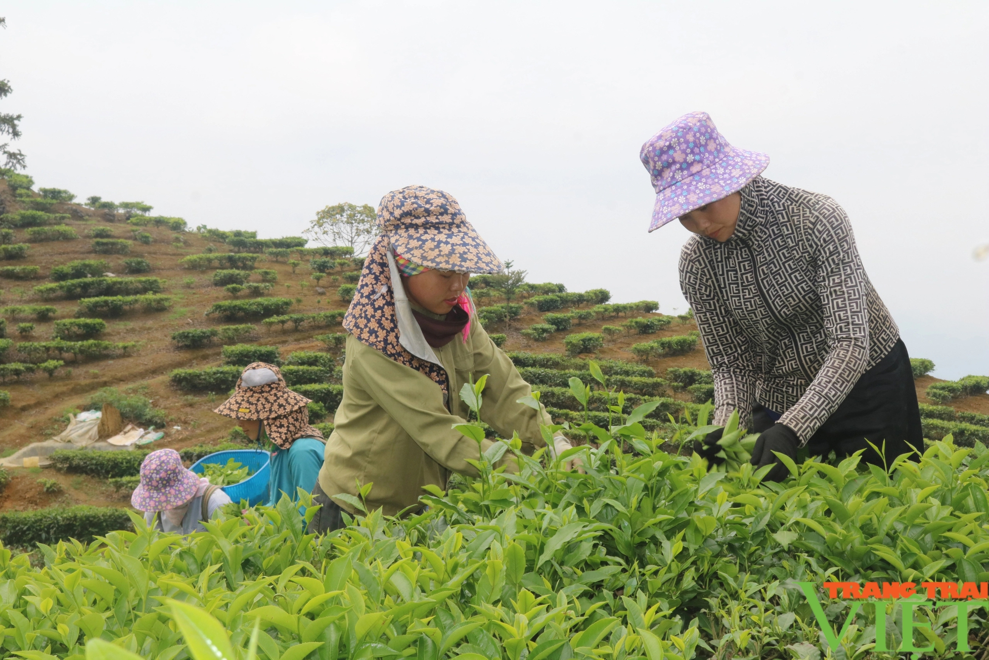 Các dân tộc huyện Mường Khương đoàn kết, đổi mới, hội nhập và phát triển- Ảnh 5.