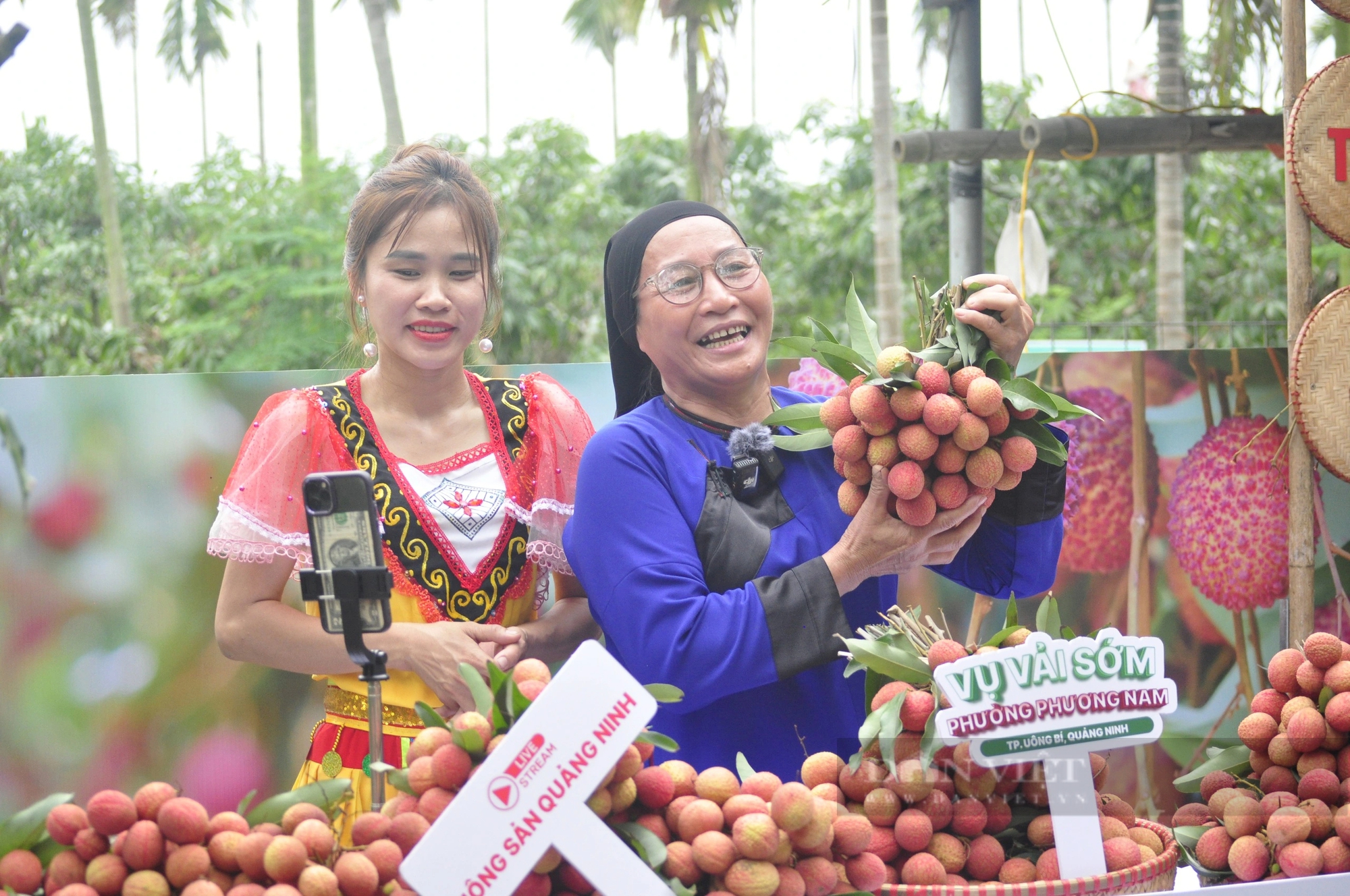 Sản lượng giảm, nông dân ở Quảng Ninh trồng loại vải to như quả trứng, ăn ngọt mát vẫn phấn khởi vì điều này- Ảnh 6.