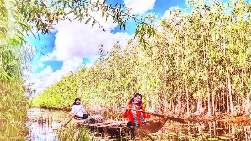 Huyện U Minh của tỉnh Cà Mau: Ở xứ rừng, con cá, cọng rau…mỗi thứ một ít, nhưng ngày nào cũng có- Ảnh 1.