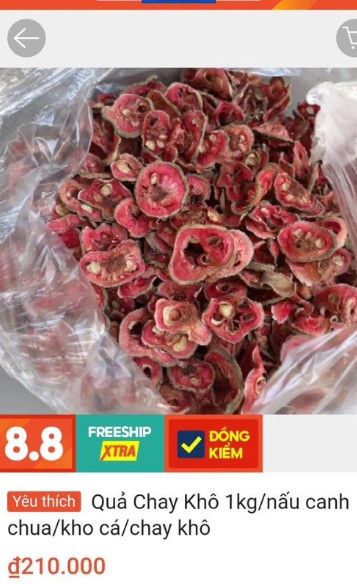 Loại quả xưa chín rụng bạt ngàn nay thành đặc sản giá 200.000 đồng/kg- Ảnh 2.