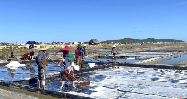 Đồng muối Sa Huỳnh được đầu tư tiền tỷ mở thêm một hướng đi mới- Ảnh 1.