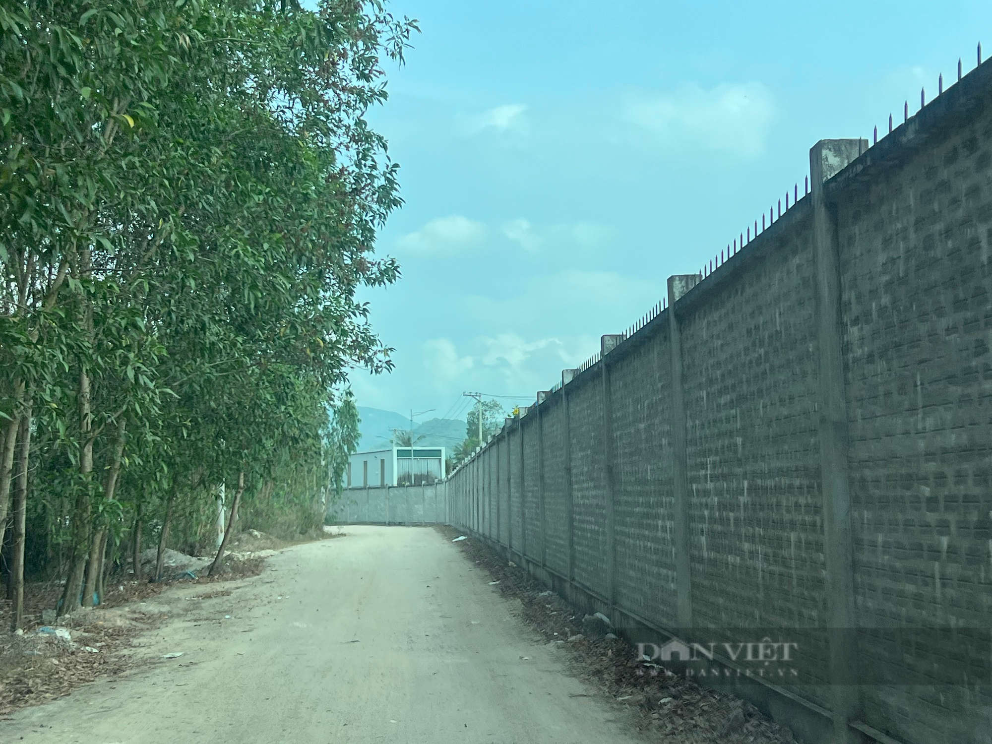 Bình Định: Cam kết xử lý mùi hôi thối từ trại nuôi heo 4.000 con ở huyện Phù Cát- Ảnh 4.