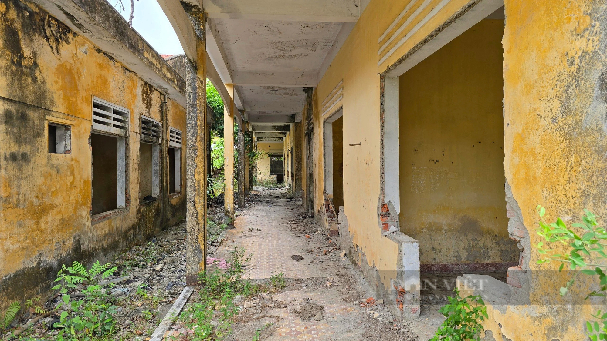 Cảnh hoang tàn khó tin tại trung tâm dạy nghề rộng gần 40.000 m2 ở Đà Nẵng- Ảnh 2.