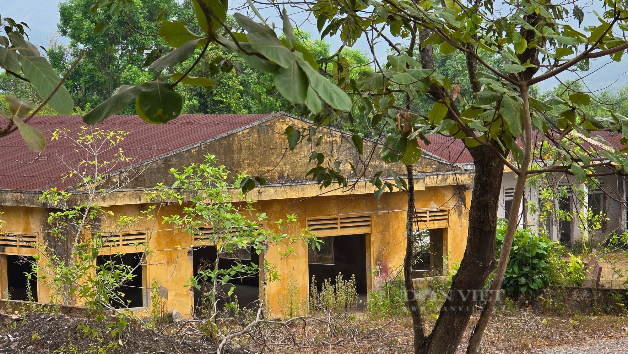 Cảnh hoang tàn khó tin tại trung tâm dạy nghề rộng gần 40.000 m2 ở Đà Nẵng- Ảnh 7.