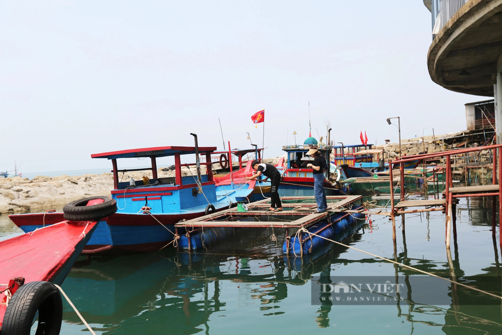Dân nuôi hải sản lồng bè ở Vũng Áng của Hà Tĩnh đang “hốt bạc” nhờ bán con gì giá 1 triệu/kg?- Ảnh 2.