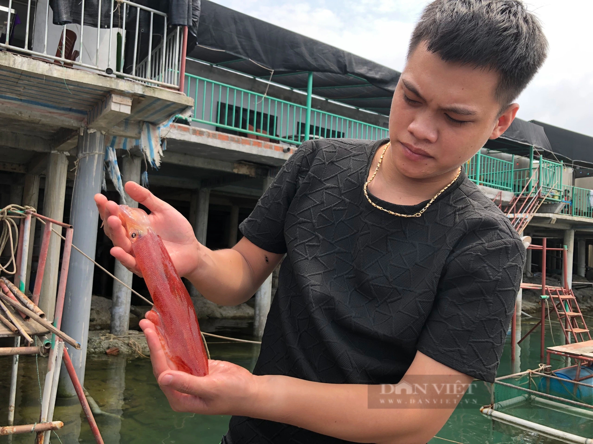 Dân nuôi hải sản lồng bè ở Vũng Áng của Hà Tĩnh đang “hốt bạc” nhờ bán con gì giá 1 triệu/kg?- Ảnh 8.
