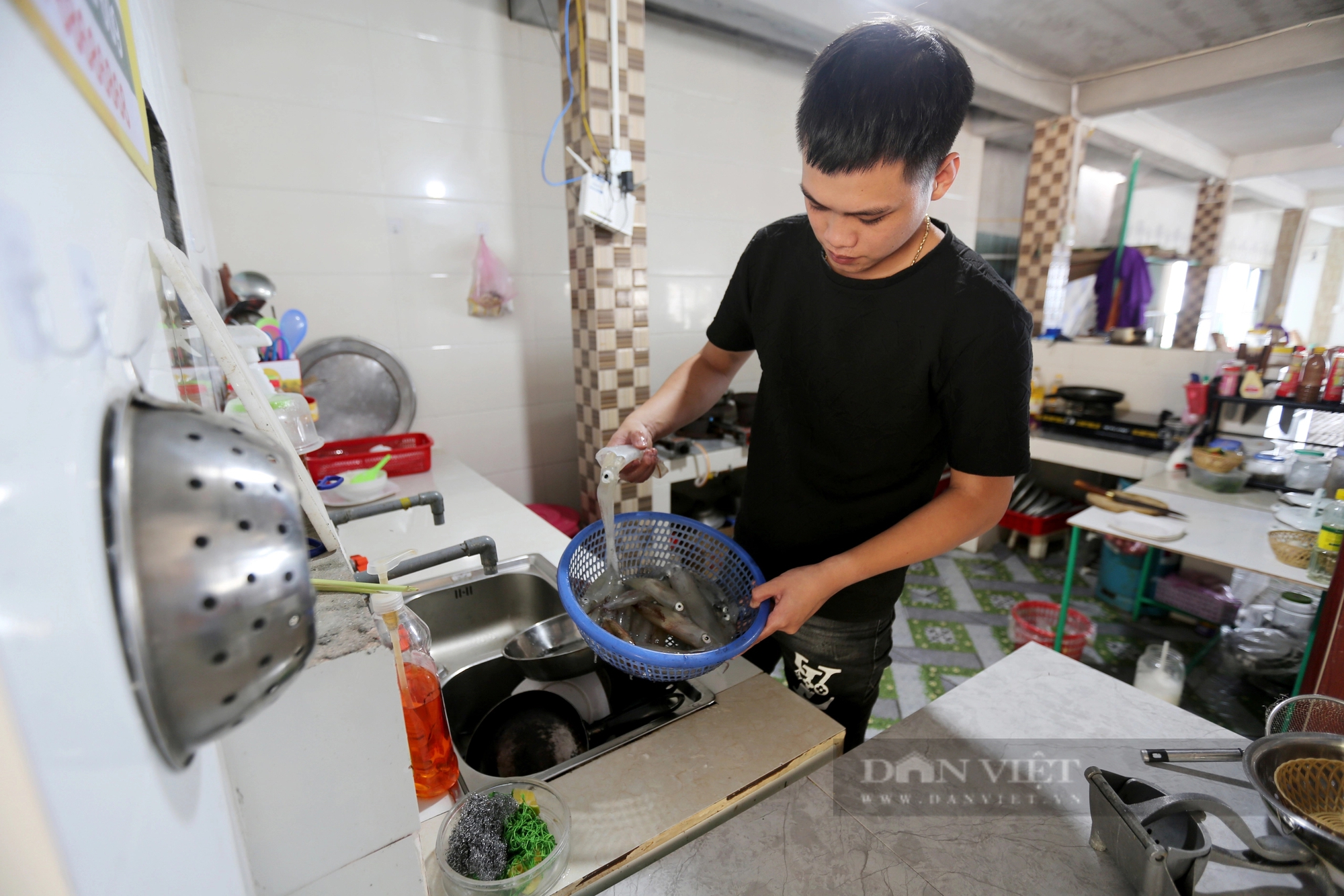Dân nuôi hải sản lồng bè ở Vũng Áng của Hà Tĩnh đang “hốt bạc” nhờ bán con gì giá 1 triệu/kg?- Ảnh 11.