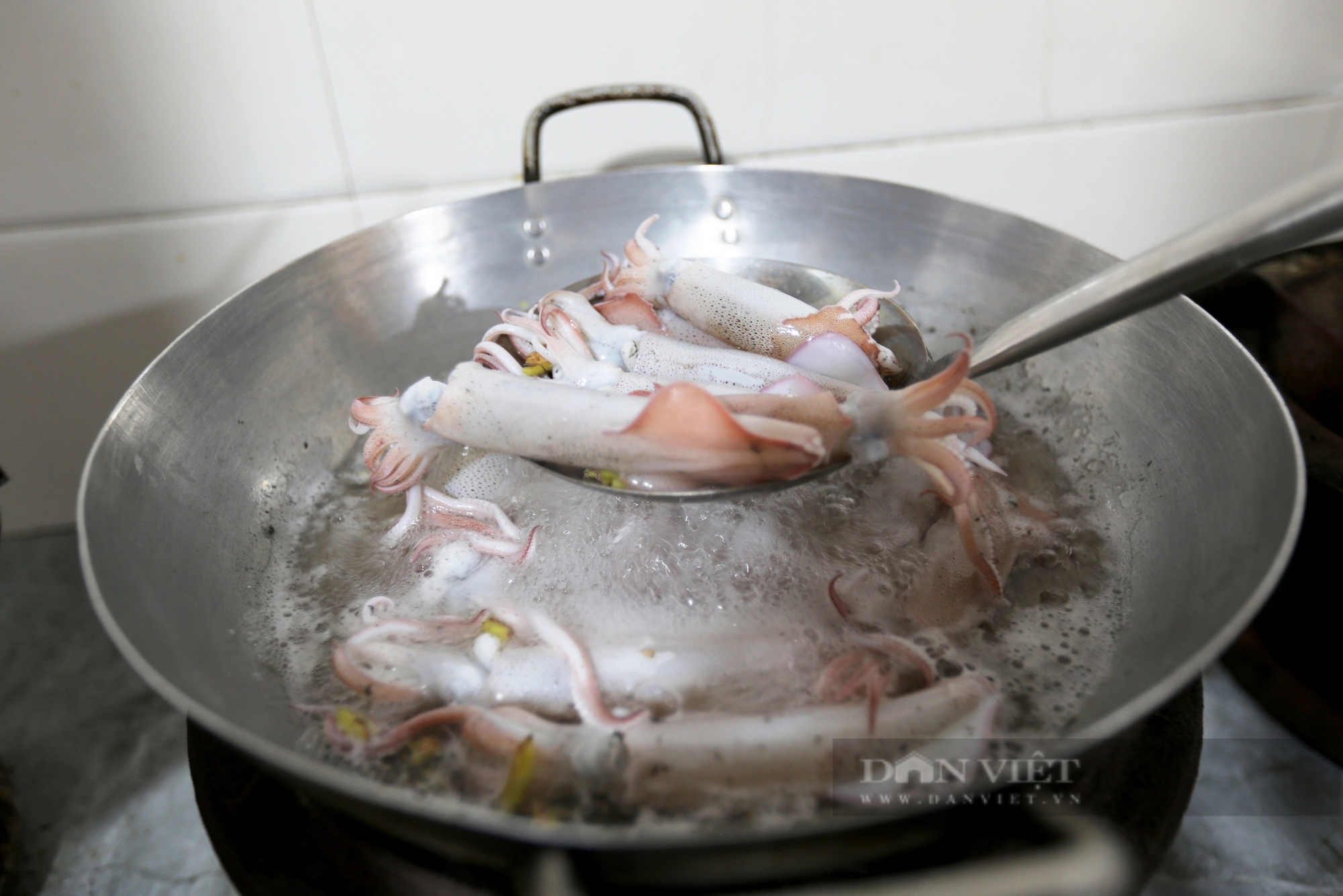Dân nuôi hải sản lồng bè ở Vũng Áng của Hà Tĩnh đang “hốt bạc” nhờ bán con gì giá 1 triệu/kg?- Ảnh 14.