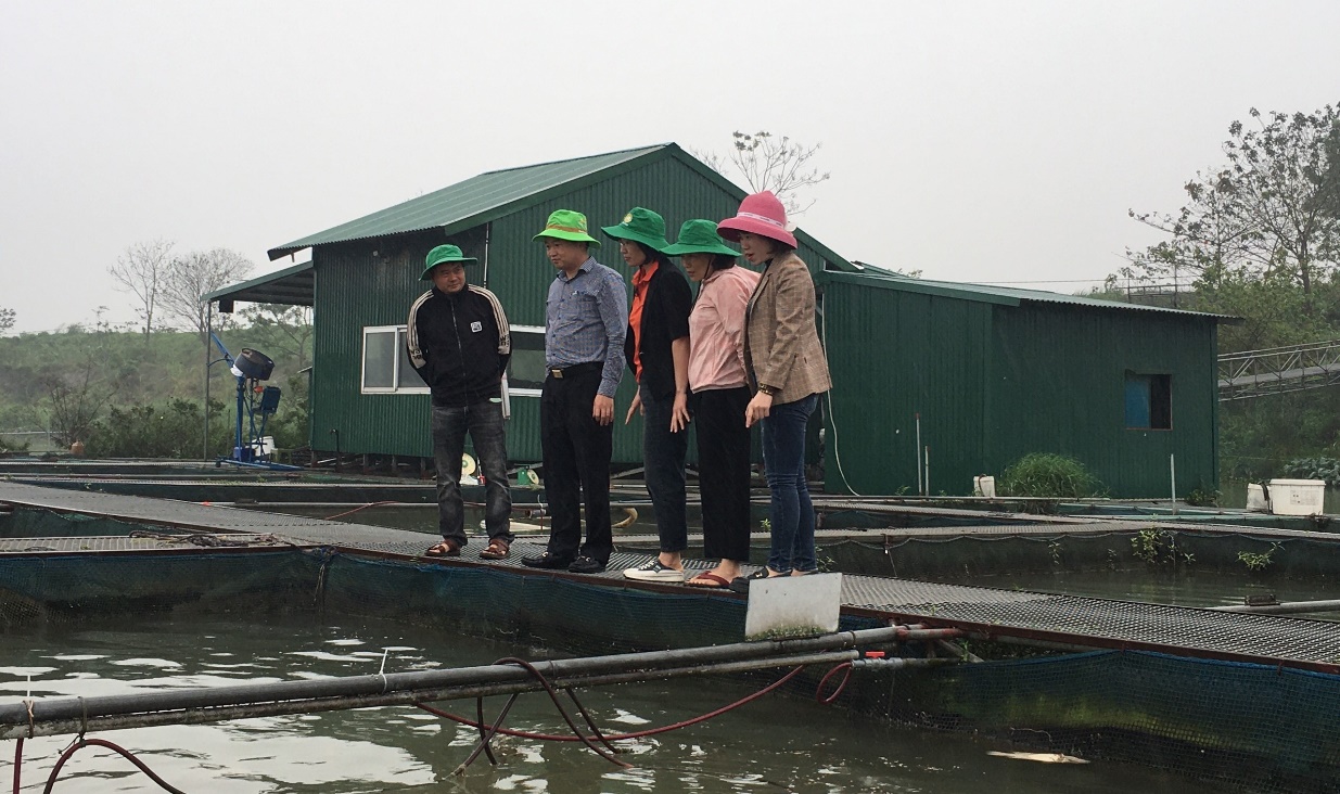 Một dòng sông nổi tiếng chảy qua Bắc Ninh, dân làm lồng nuôi cá đặc sản dày đặc, hễ bán là hết veo- Ảnh 2.
