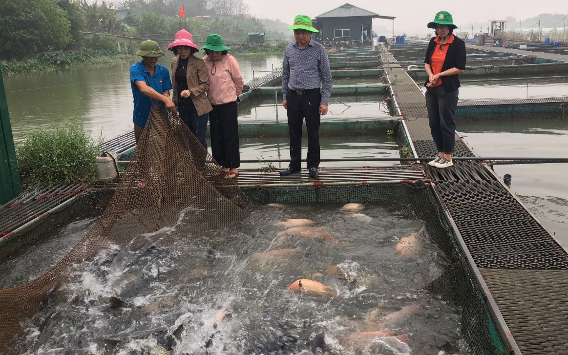 Một dòng sông nổi tiếng chảy qua Bắc Ninh, dân làm lồng nuôi cá đặc sản dày đặc, hễ bán là hết veo