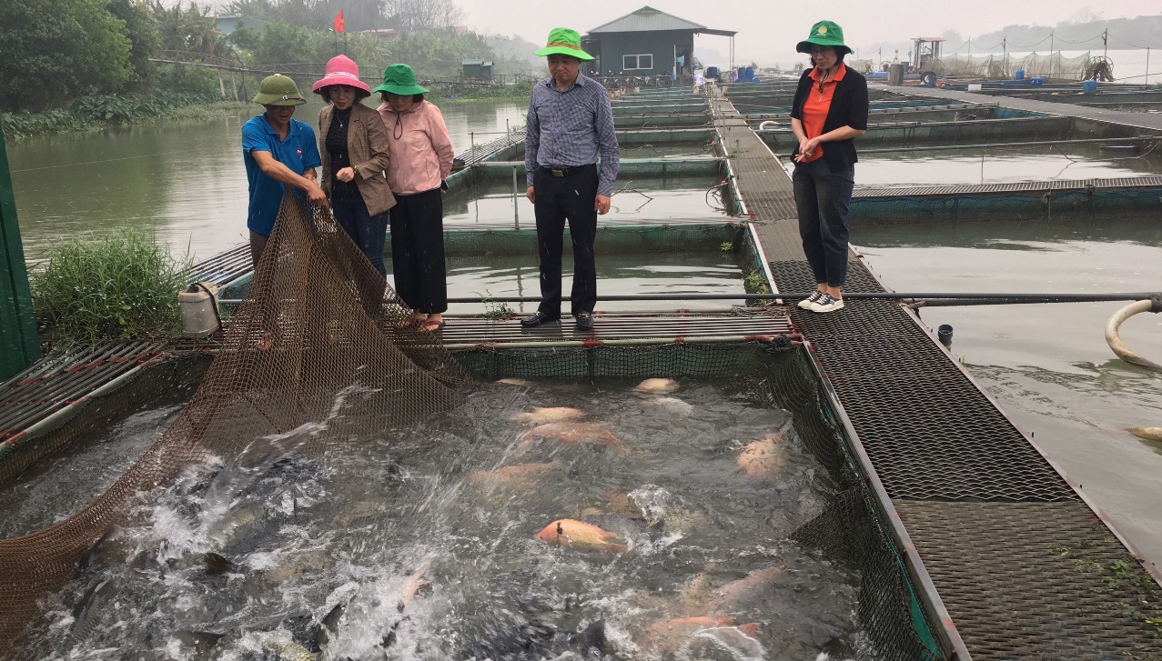 Một dòng sông nổi tiếng chảy qua Bắc Ninh, dân làm lồng nuôi cá đặc sản dày đặc, hễ bán là hết veo- Ảnh 5.