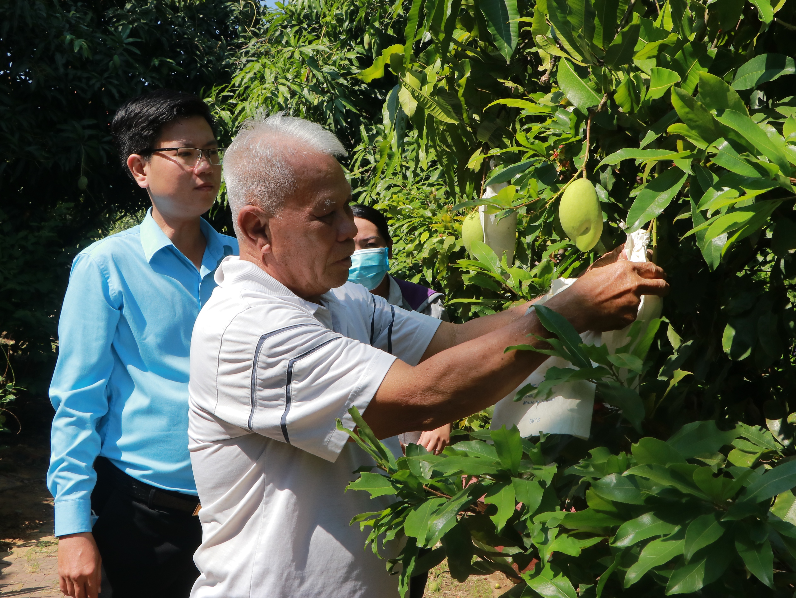 TP.HCM làm gì để đẩy mạnh phát triển kinh tế tập thể trong giai đoạn mới?- Ảnh 3.