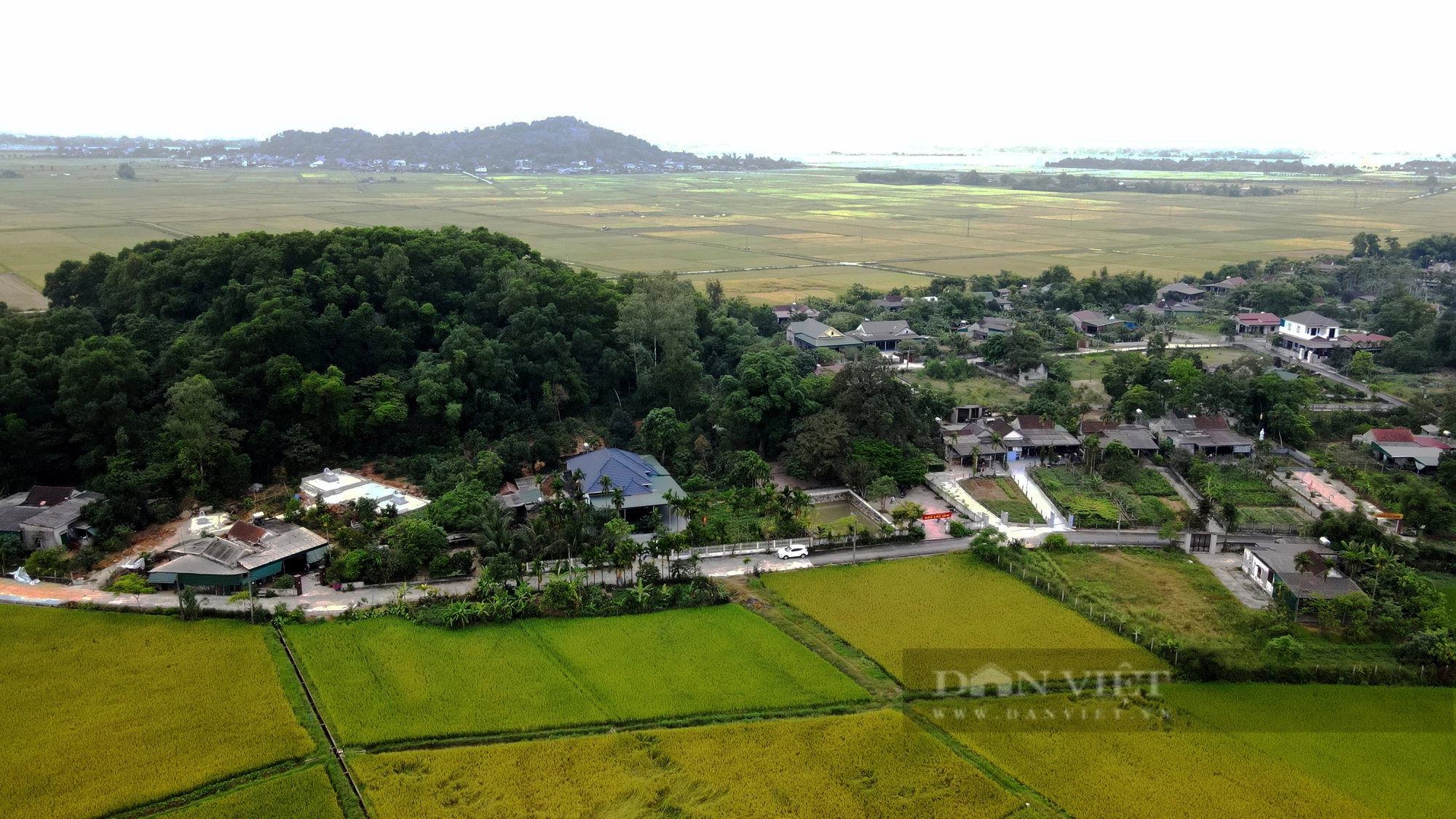 Ở một thị trấn của Hà Tĩnh có 2 cây cổ thụ 600 tuổi "trấn" cửa đền Cương Quốc Công Nguyễn Xí- Ảnh 2.