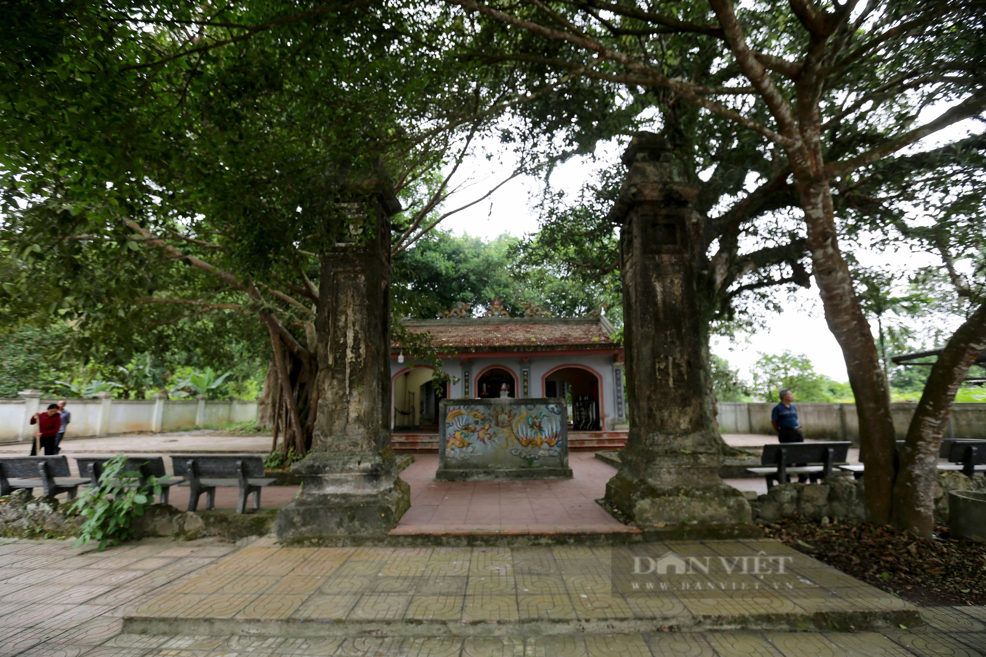 Ở một thị trấn của Hà Tĩnh có 2 cây cổ thụ 600 tuổi "trấn" cửa đền Cương Quốc Công Nguyễn Xí- Ảnh 3.