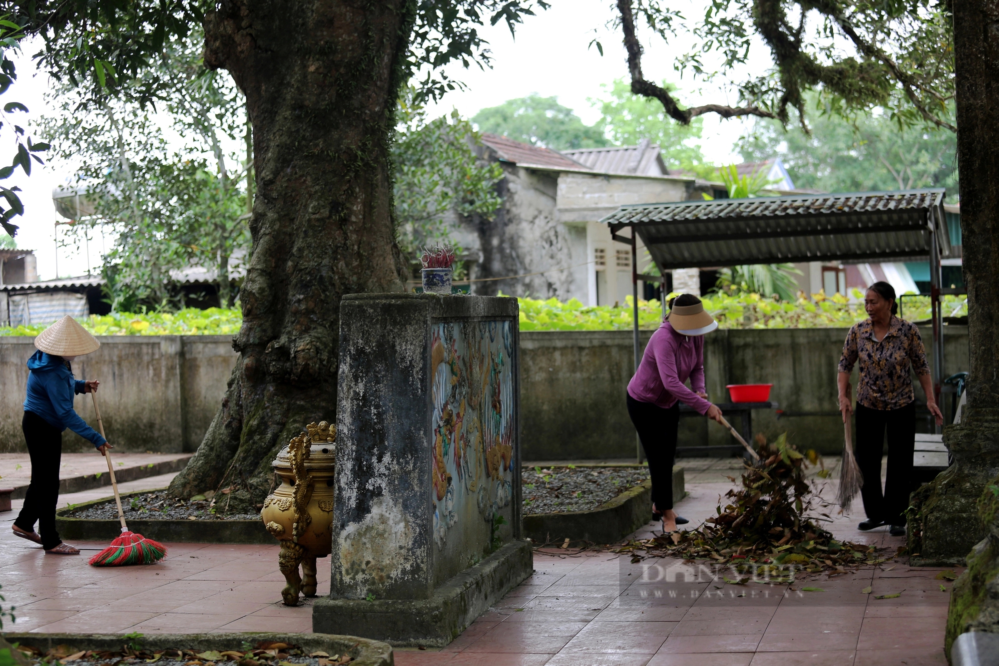 Ở một thị trấn của Hà Tĩnh có 2 cây cổ thụ 600 tuổi "trấn" cửa đền Cương Quốc Công Nguyễn Xí- Ảnh 9.
