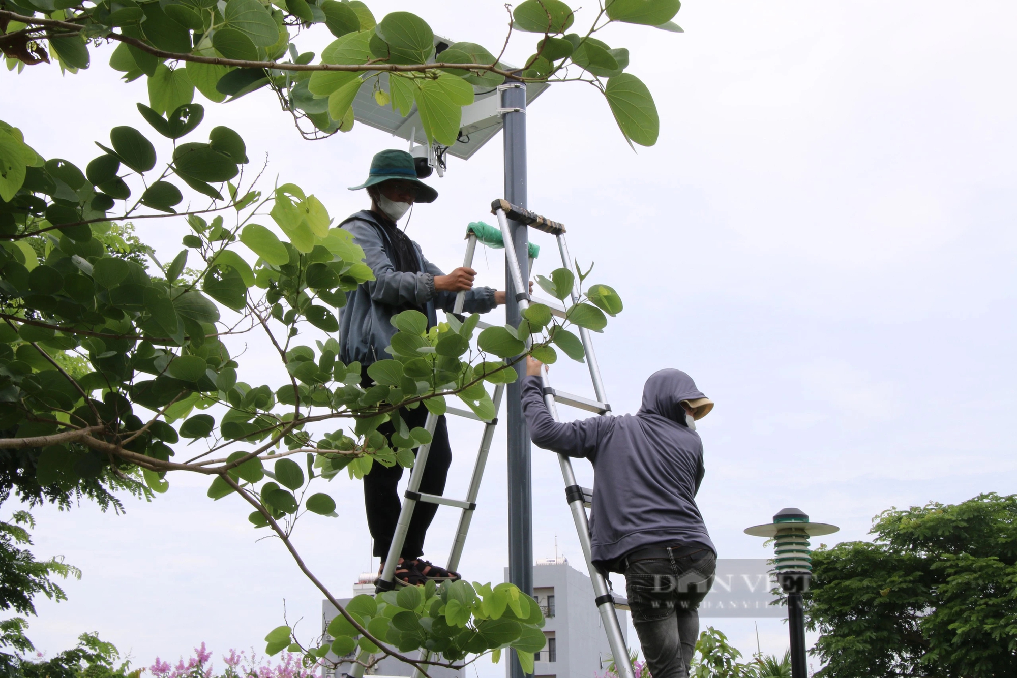 Phố du lịch đêm Bạch Đằng tại trung tâm Đà Nẵng thành hình, đầu tháng 6 hoạt động- Ảnh 7.