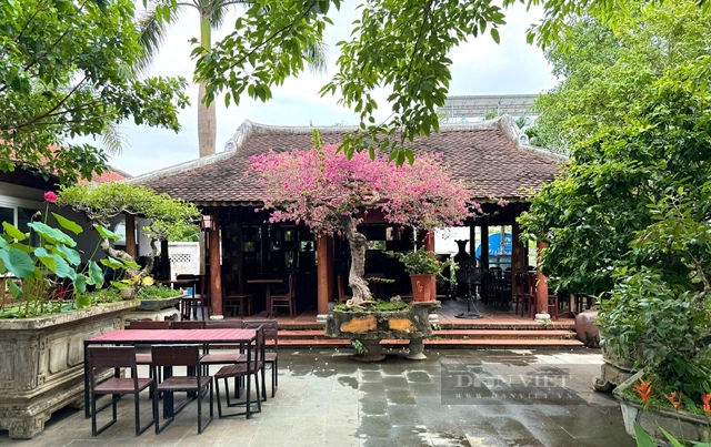 Ngắm quán cà phê giá nhiều triệu USD ở trung tâm tỉnh Quảng Ngãi- Ảnh 6.