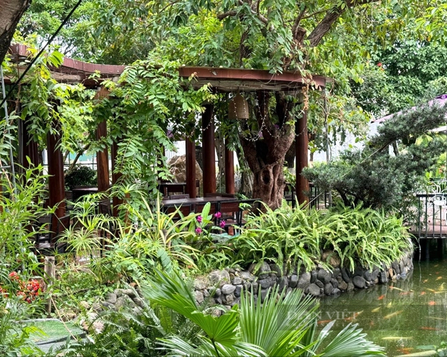 Ngắm quán cà phê giá nhiều triệu USD ở trung tâm tỉnh Quảng Ngãi- Ảnh 7.