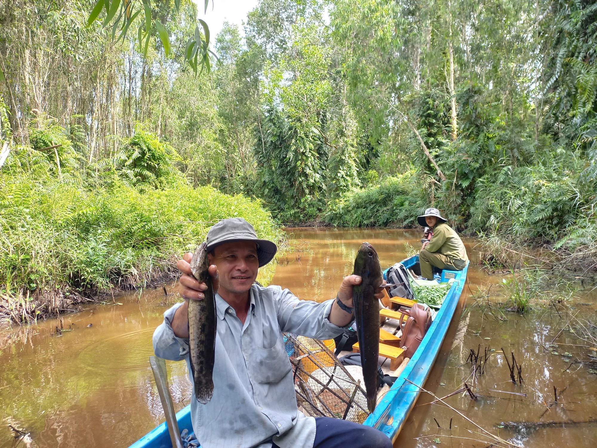 Dùng thứ này bắt cá lóc đồng to bự trong khu rừng tràm U Minh ở Cà Mau, đốt rơm nướng dậy mùi thơm- Ảnh 6.