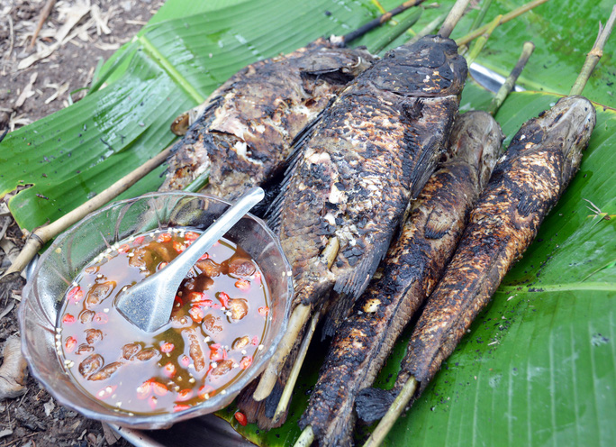 Dùng thứ này bắt cá lóc đồng to bự trong khu rừng tràm U Minh ở Cà Mau, đốt rơm nướng dậy mùi thơm- Ảnh 10.