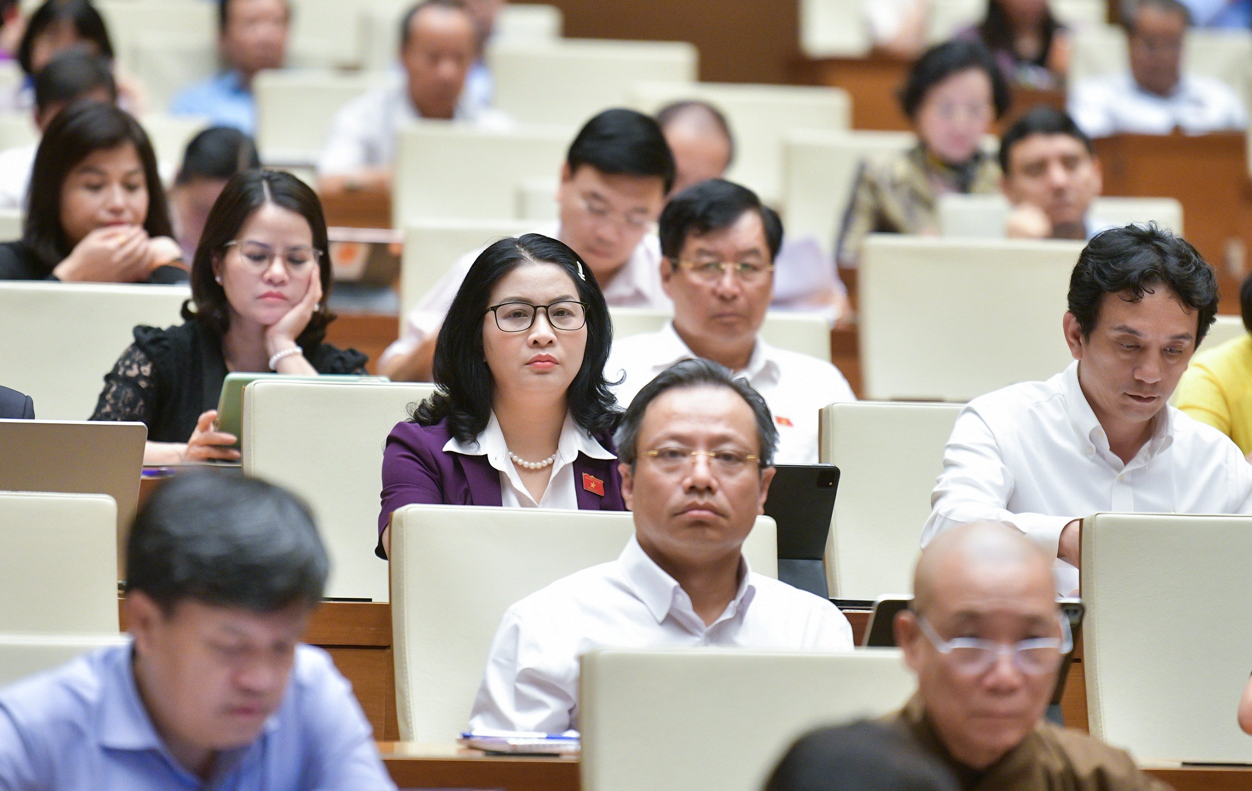 Thành viên Chính phủ sẽ giải trình các vấn đề ĐBQH nêu về kinh tế - xã hội, chống lãng phí- Ảnh 2.