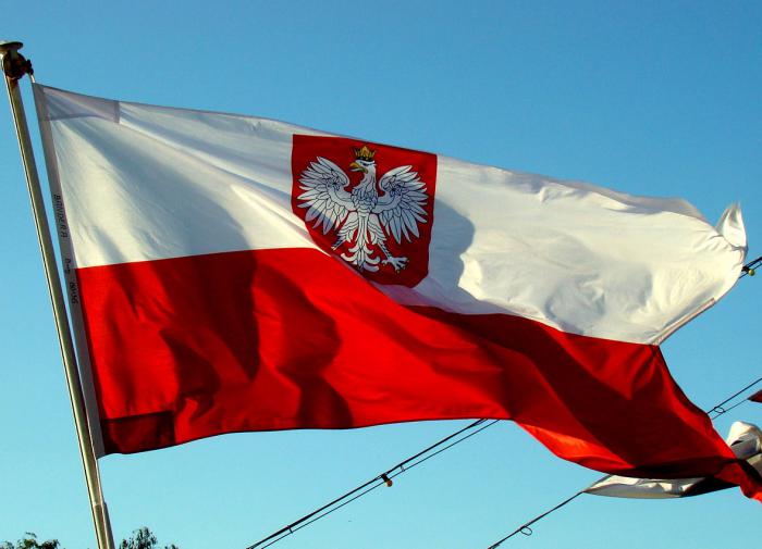 Ba Lan muốn TT Putin đoán xem NATO sẽ làm gì tiếp theo- Ảnh 1.