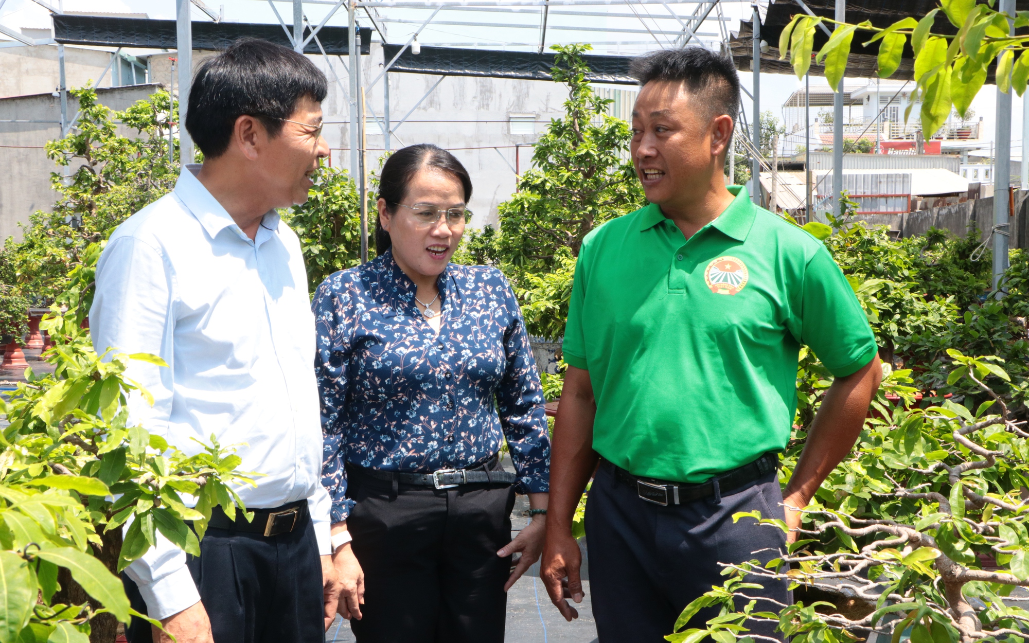 Video: Anh nông dân TP.HCM trồng mai tạo dáng bonsai với nhiều kiểu dáng độc lạ