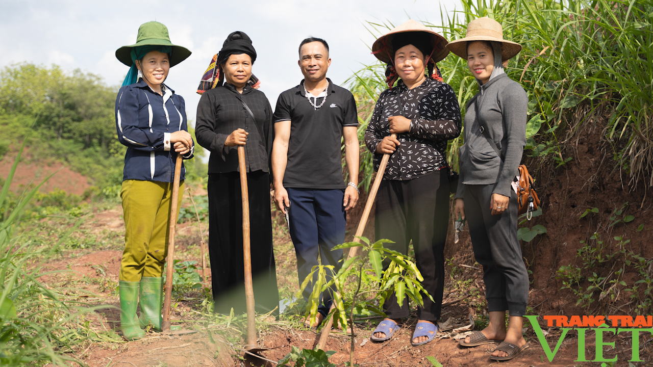 Hiệu quả từ các mô hình, dự án hỗ trợ hội viên nông dân phát triển nông nghiệp bền vững- Ảnh 3.