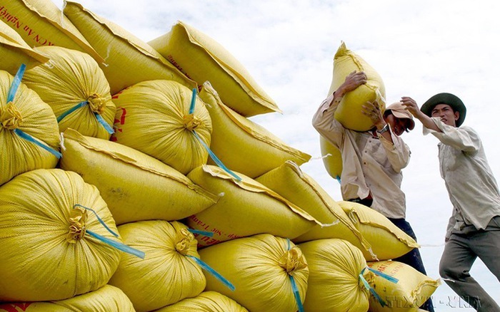 2 doanh nghiệp Việt Nam trúng thầu 90.000 tấn gạo với giá thấp 