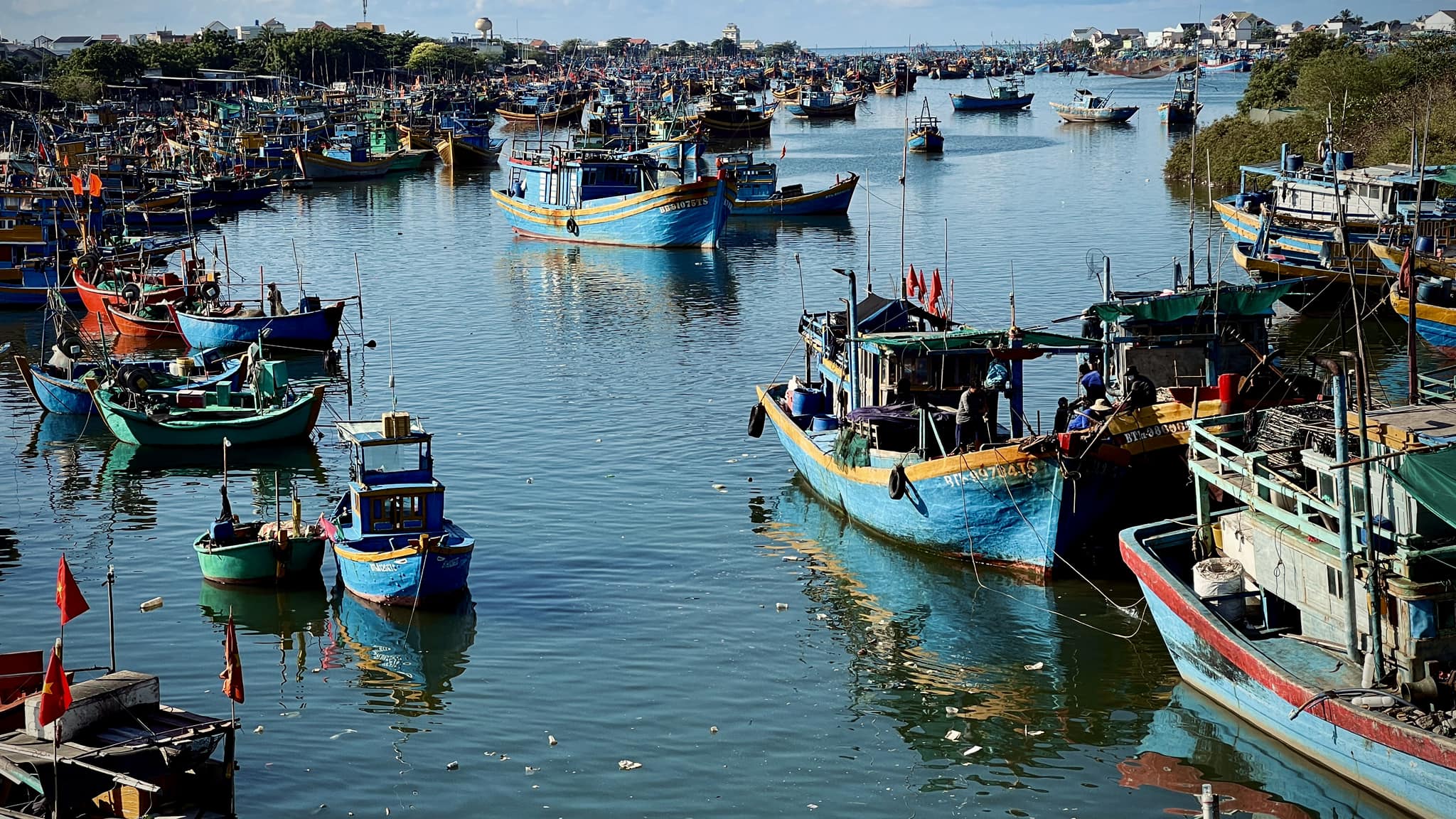 Đại sứ EU: Việt Nam đã thể hiện quyết tâm chính trị cao để gỡ thẻ vàng IUU càng sớm càng tốt- Ảnh 1.