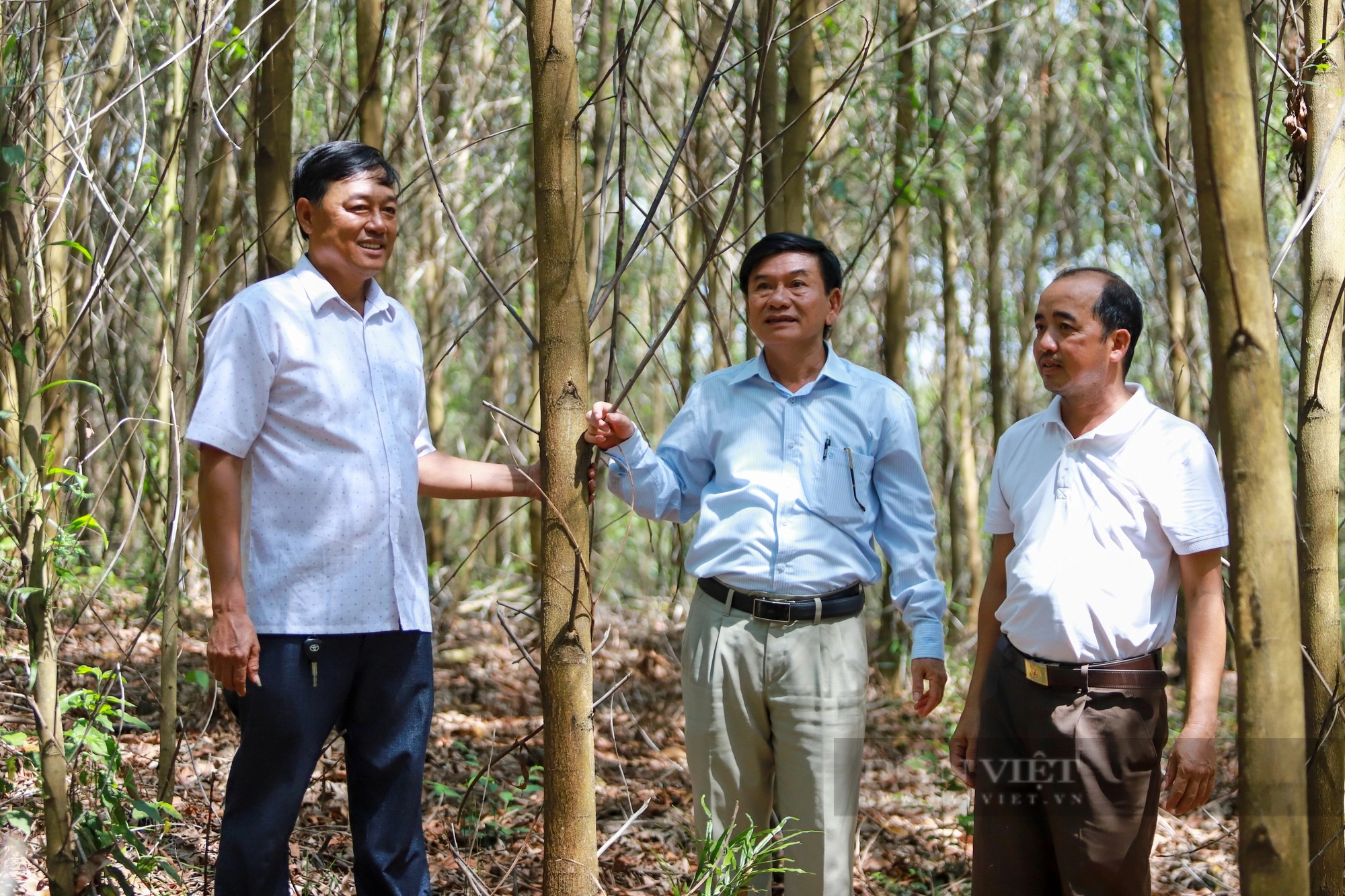 Quảng Trị trồng rừng bán tín chỉ carbon, nông dân Thừa Thiên Huế lại giàu lên nhờ sản xuất hữu cơ- Ảnh 1.