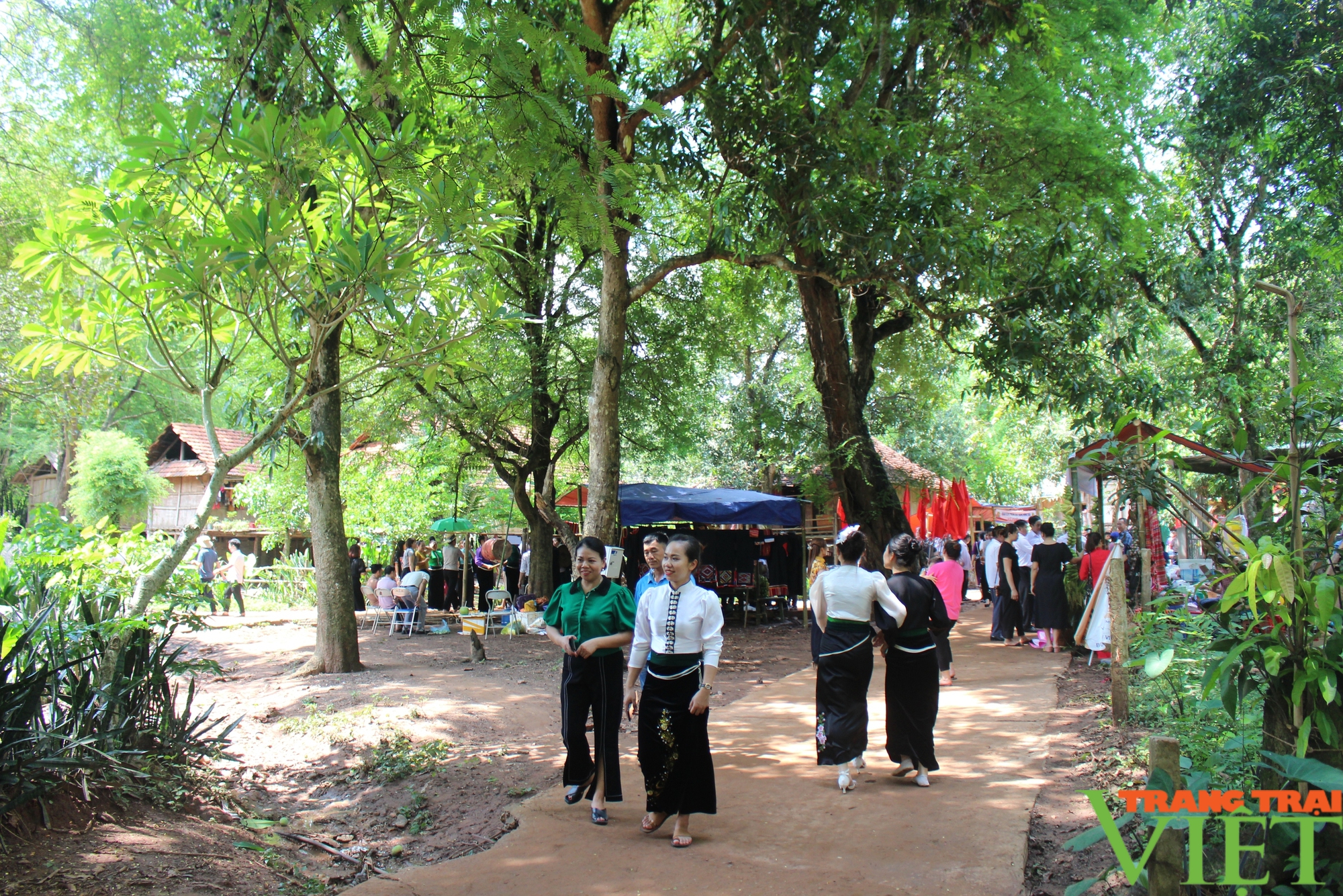 Chung tay chăm lo đời sống đồng bào dân tộc thiểu số, miền núi- Ảnh 3.