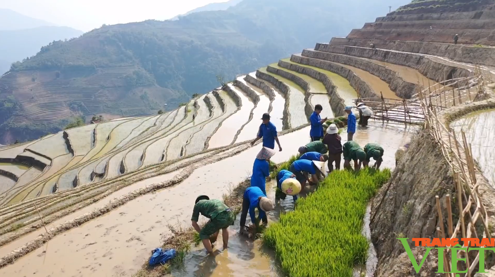 Xúc động hình ảnh tuổi trẻ huyện Mường Tè bì bõm lội ruộng cấy lúa giúp dân- Ảnh 1.