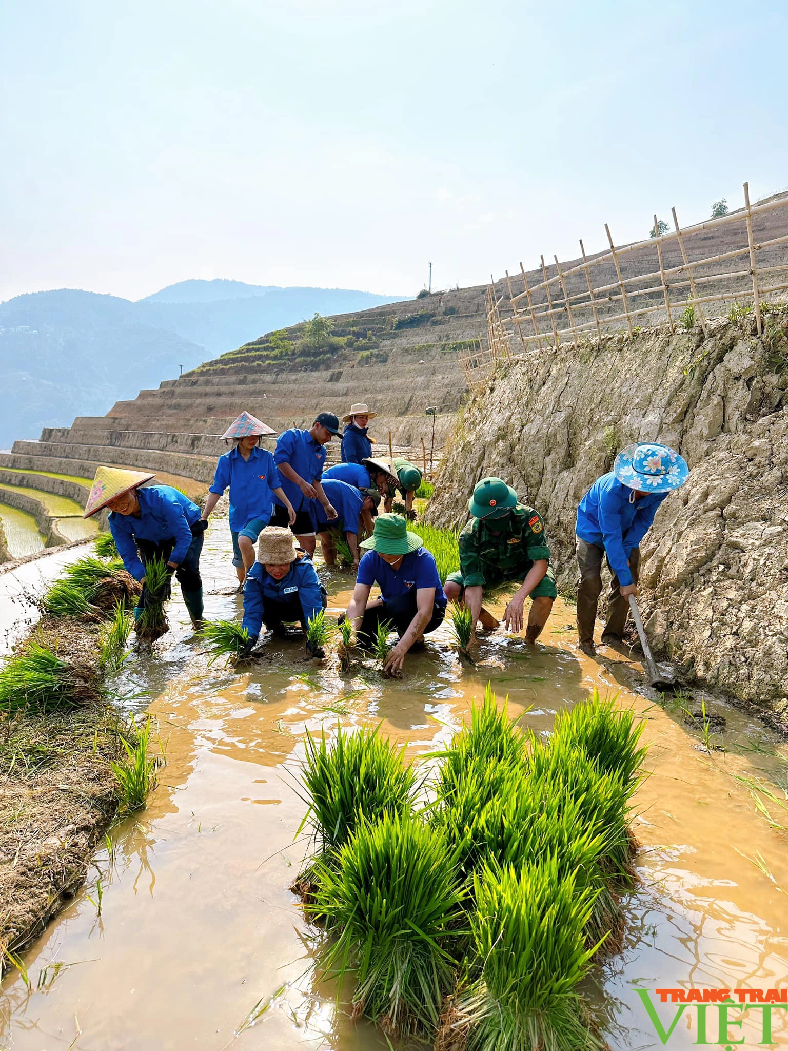 Xúc động hình ảnh tuổi trẻ huyện Mường Tè bì bõm lội ruộng cấy lúa giúp dân- Ảnh 2.