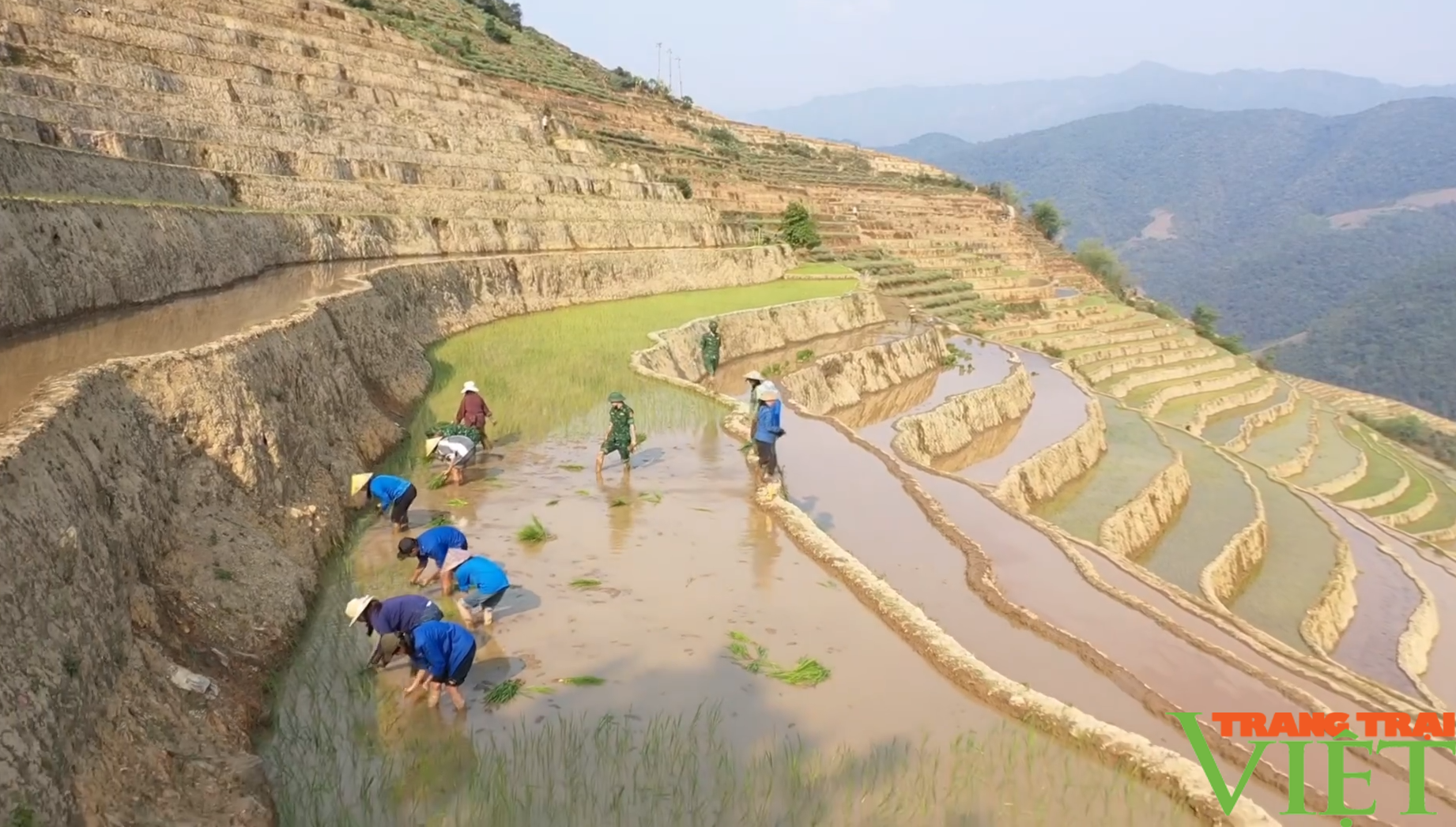 Xúc động hình ảnh tuổi trẻ huyện Mường Tè bì bõm lội ruộng cấy lúa giúp dân- Ảnh 4.
