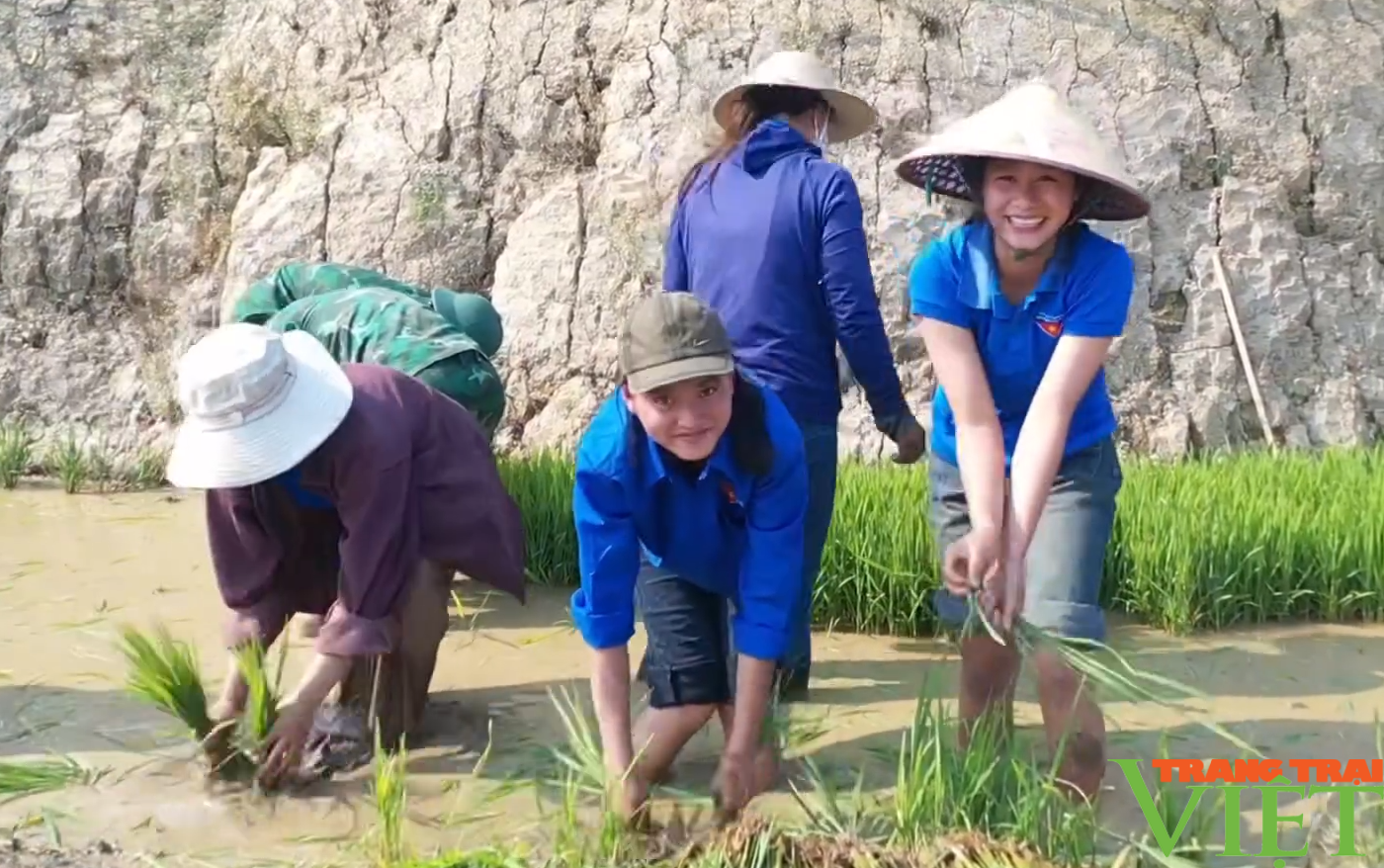 Xúc động hình ảnh tuổi trẻ huyện Mường Tè bì bõm lội ruộng cấy lúa giúp dân- Ảnh 5.