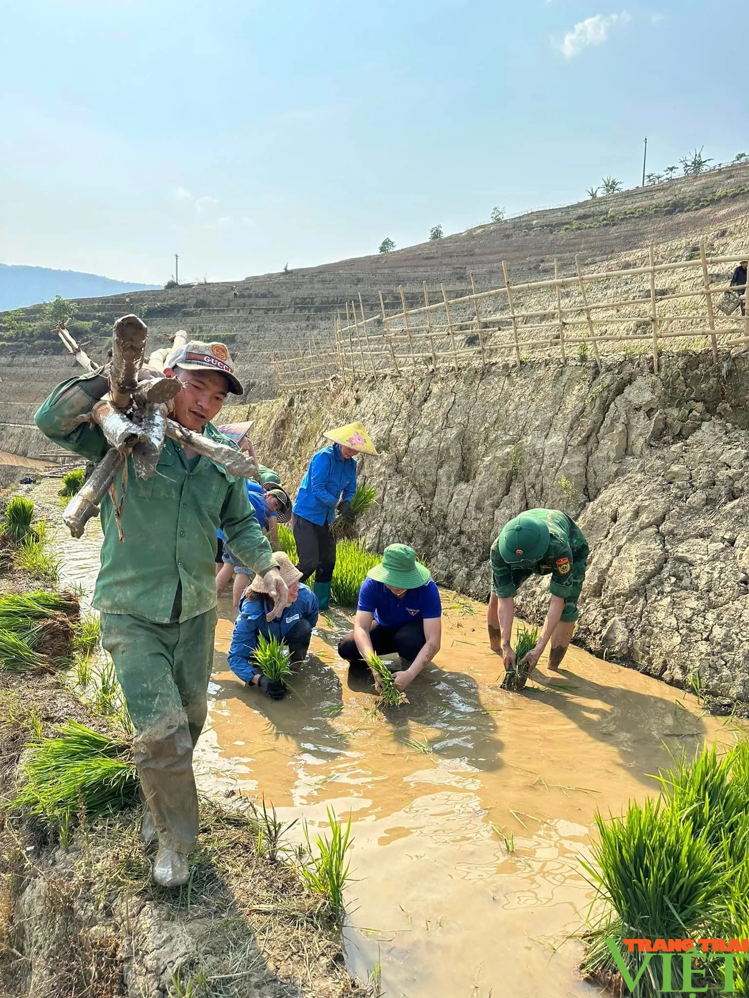 Xúc động hình ảnh tuổi trẻ huyện Mường Tè bì bõm lội ruộng cấy lúa giúp dân- Ảnh 8.