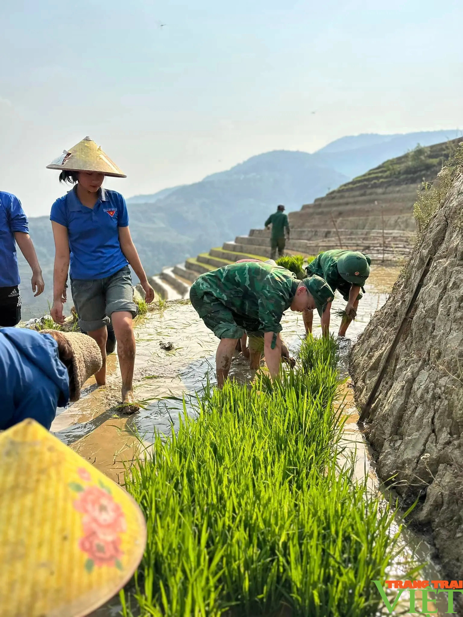 Xúc động hình ảnh tuổi trẻ huyện Mường Tè bì bõm lội ruộng cấy lúa giúp dân- Ảnh 9.