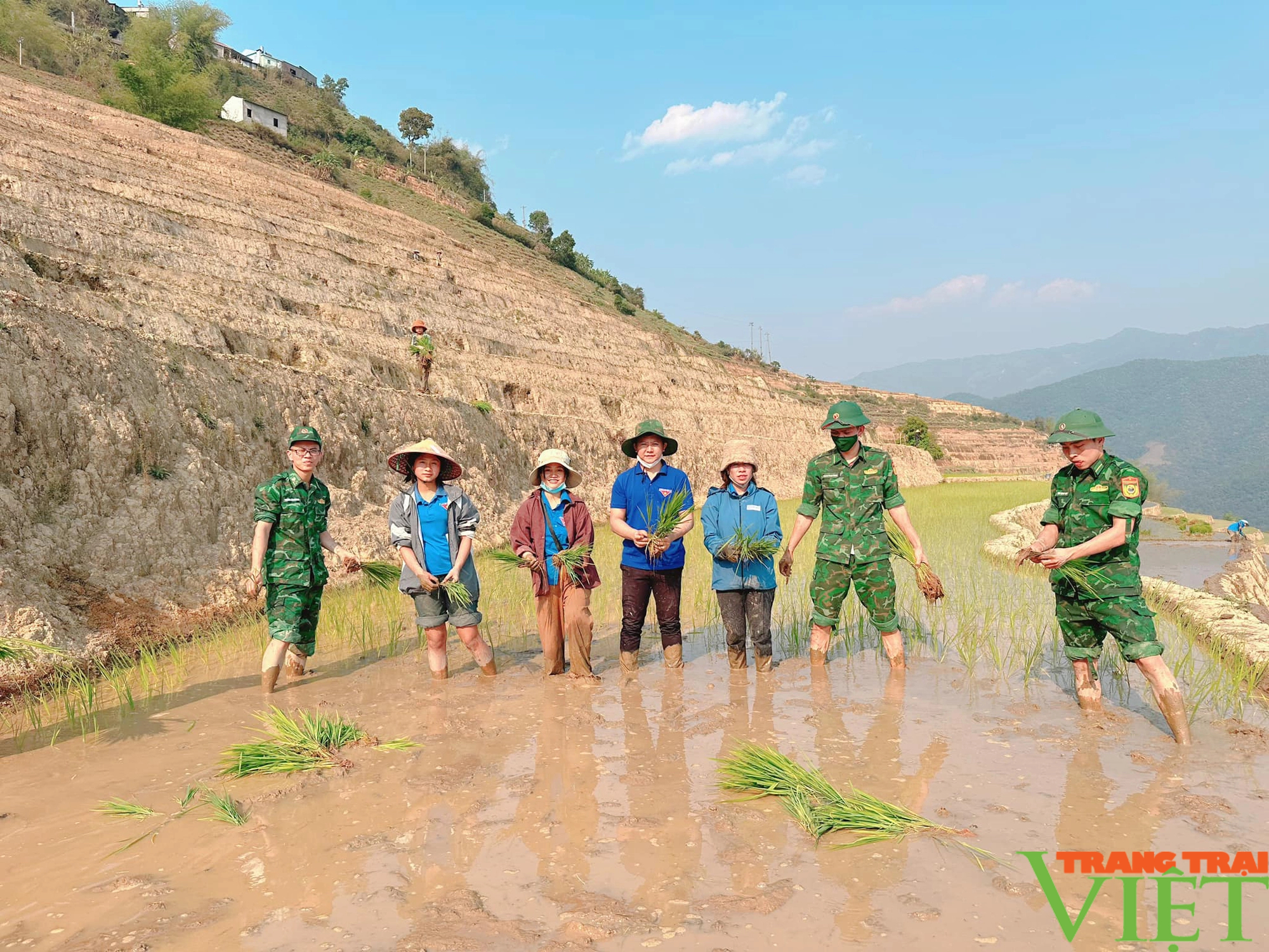 Xúc động hình ảnh tuổi trẻ huyện Mường Tè bì bõm lội ruộng cấy lúa giúp dân- Ảnh 13.
