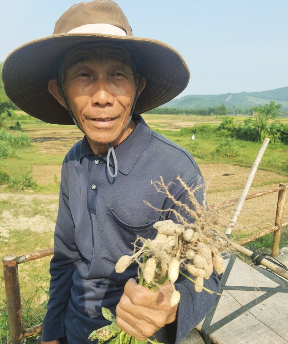 Nông dân một xã ở Quảng Nam chuyển từ làm lúa sang trồng những loại cây gì mà thu nhập tốt hơn hẳn?- Ảnh 2.