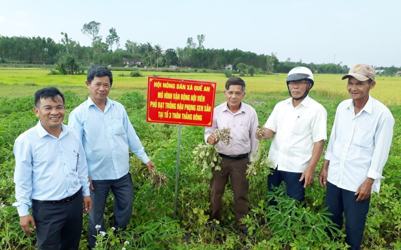 Nông dân một xã ở Quảng Nam chuyển từ làm lúa sang trồng những loại cây gì mà thu nhập tốt hơn hẳn?